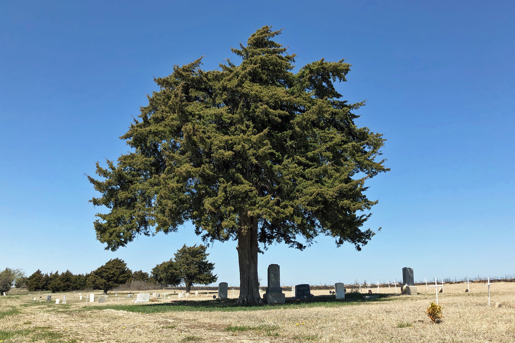 Dunlap Colored Cemetery wide view, Dunlap, Kansas